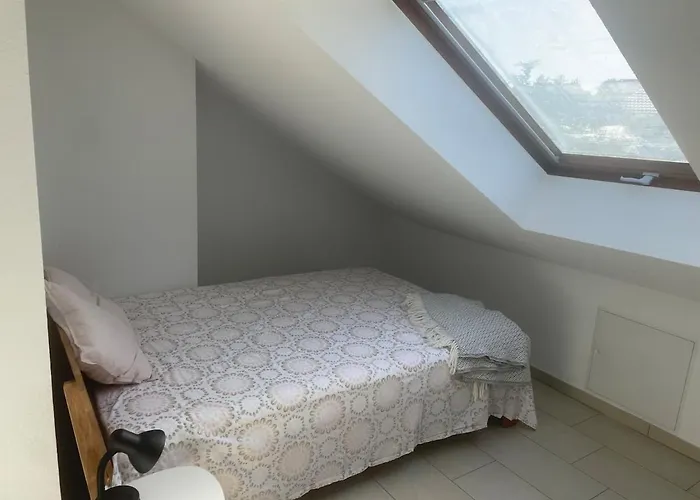 Messe-&ferienwohnung Mit Balkon Nähe Uniklinik Apartment